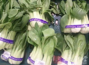 解讀食用農(nóng)產(chǎn)品入場(chǎng)交易法規(guī)制度——以食用農(nóng)產(chǎn)品批發(fā)環(huán)節(jié)為中心